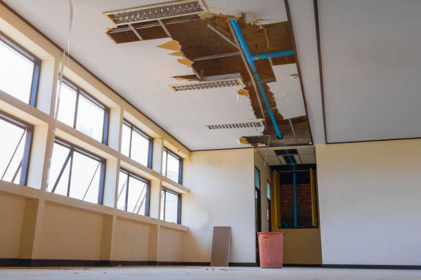 Best Carpet water damage restoration  in Lafayette, CA