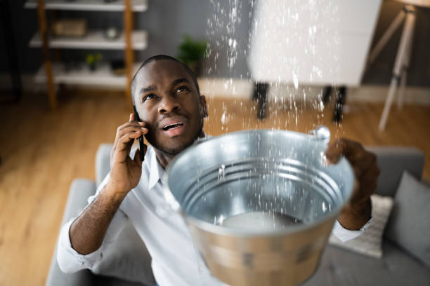 Best Water damage restoration near me  in Lafayette, CA