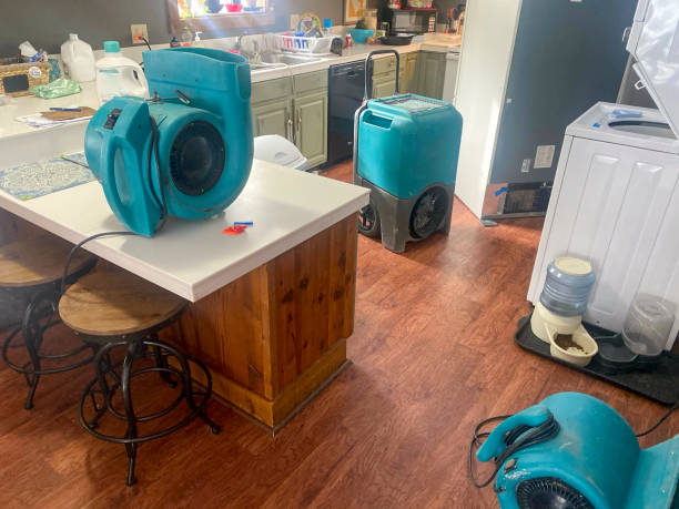 Best Water damage restoration company  in Lafayette, CA