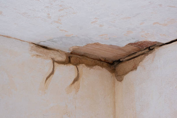 Best Fire Damage Restoration  in Lafayette, CA