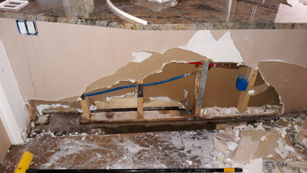 Best Professional water damage repair  in Lafayette, CA