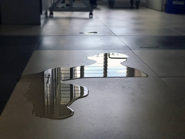 Trusted CA Water damage restoration Experts