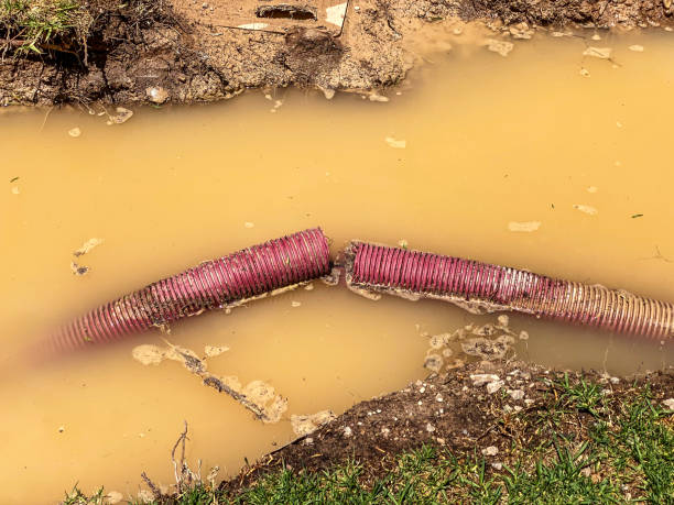 Best Water damage cleanup near me  in Lafayette, CA