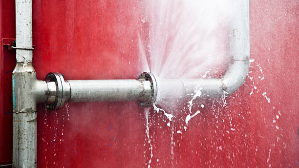 Best Water damage restoration near me  in Lafayette, CA