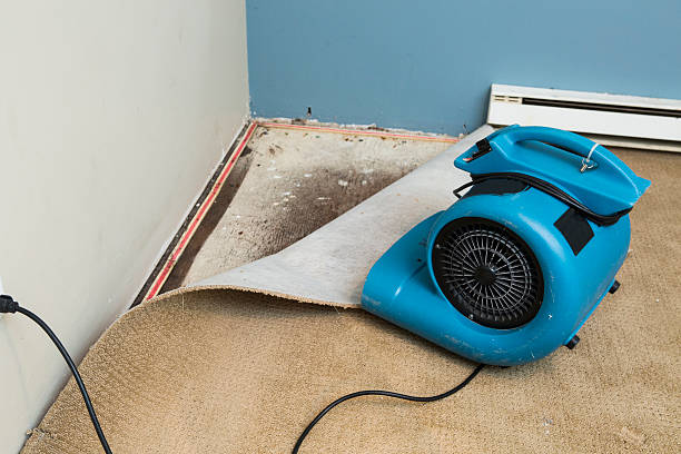  Lafayette, CA Water damage restoration Pros